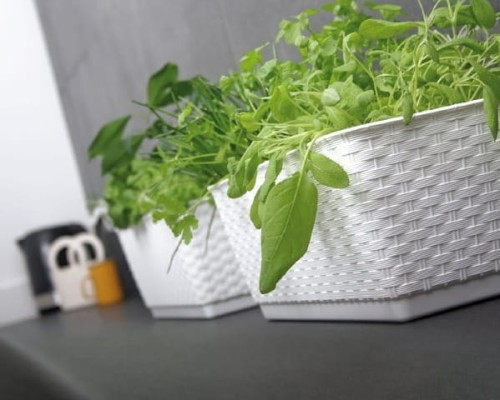 Doniczka długa Ratolla aranżacja z rośliną