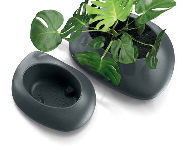 donica kamień płaski owalna z roślinką