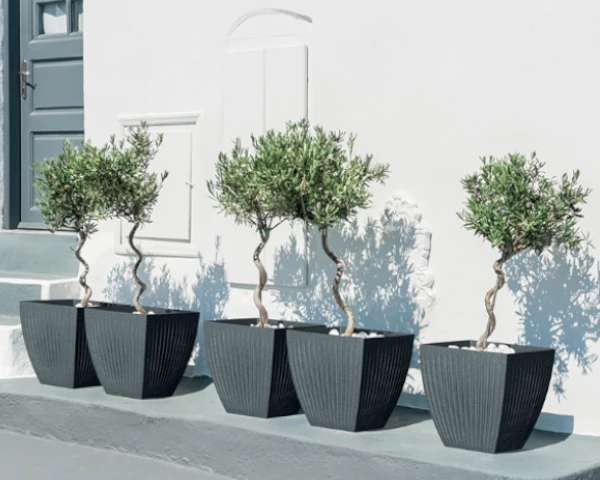 donica kwadratowa Latia Square Midl aranzacja przed domem