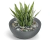 donica niska misa szara 60 cm Molio Bowl aranzacja z roslina