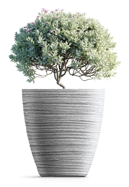 donica_Defora_Round_aranzacja_z_roslina