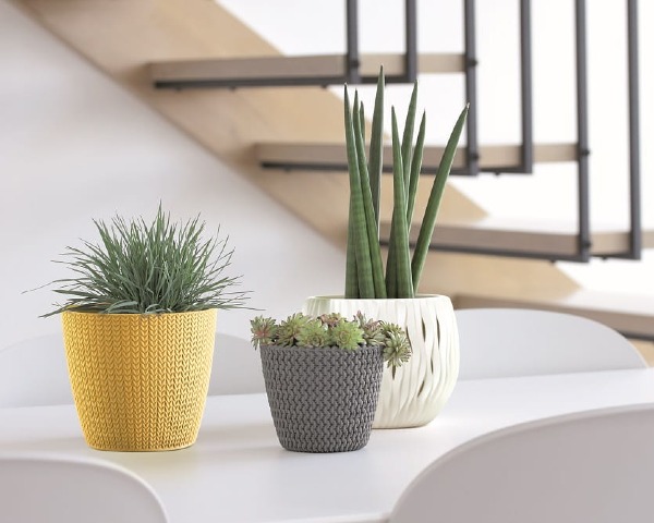 doniczka żółta Wheaty w aranżacji z rośliną