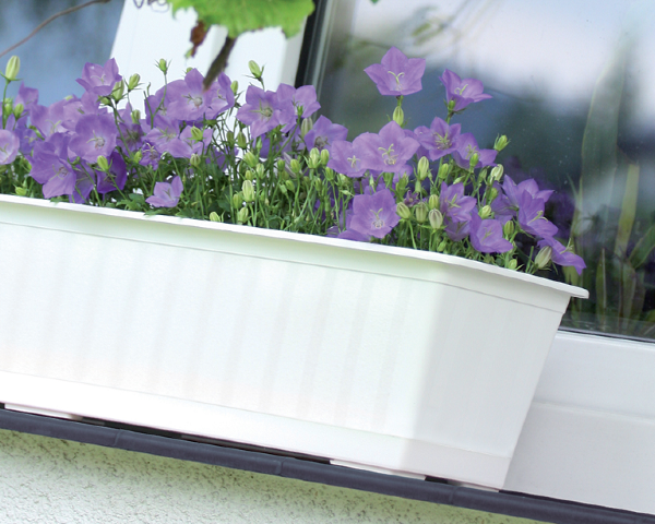 podstawka pod doniczkę podłużną Agro aranżacja z roślinami