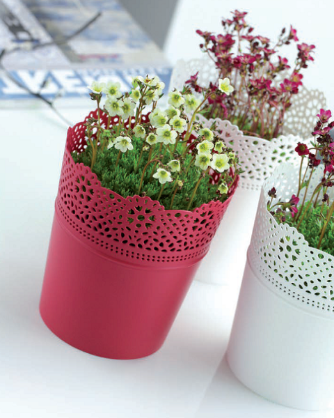 doniczka-dlac-prezentacja