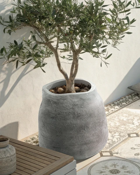 donica dekoracyjna ethick boge szary beton aranzacja z drzewkiem oliwnym