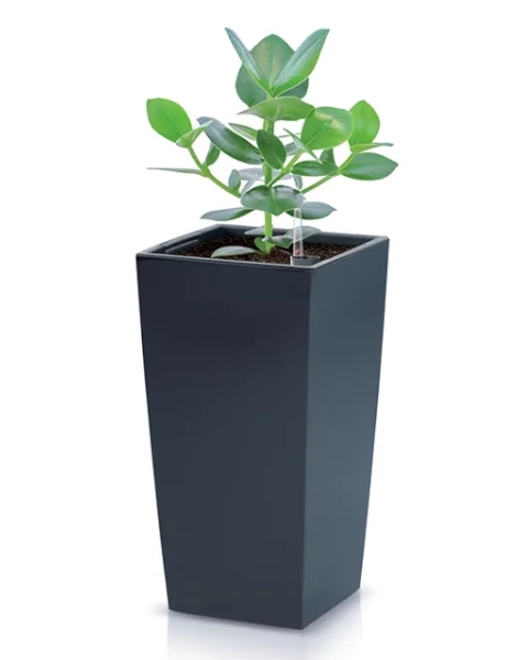 doniczka wysoka z wkladem antracyt prosperplast urbi square aranzacja z roslina