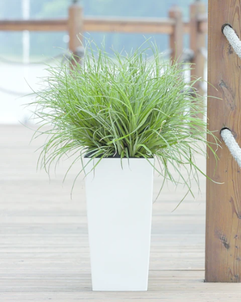 doniczka wysoka prosperplast doniczka urbi biala aranzacja z roslina