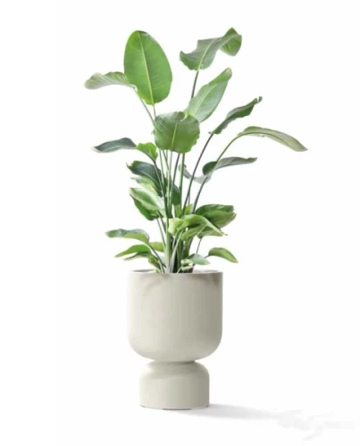 doniczka ethick molta grail midl - aranzacja z roslina