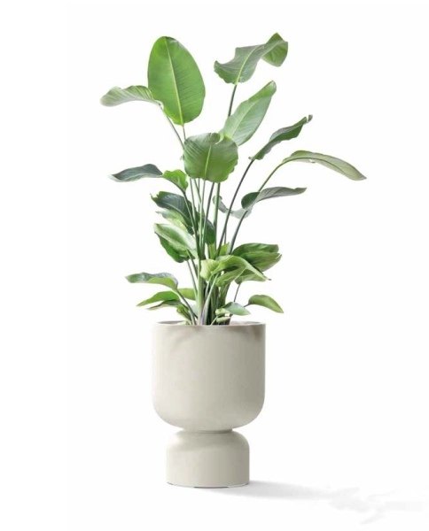 doniczka ethick molta grail midl - aranzacja z roslina