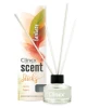 Patyczki zapachowe Fantasy 45 ml Clinex Scent Sticks 77-801
