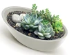 Donica łódka owalna duża dekoracyjna Aria Oval - sukulenty