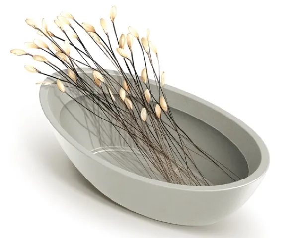 Doniczka łódka owalna ozdobna w kształcie łódki Aria Oval - aranżacja z gałązkami