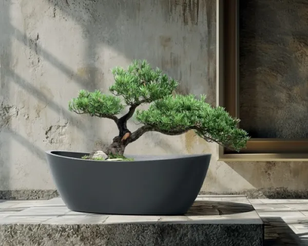 doniczka owalna Aria aranżacja drzewko bonsai