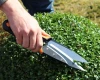 nozyce-ogrodowe--16-cm-ramp-aranzacja