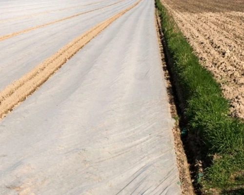 agrowloknina-wzmocniona-biala-P-23-9,60-x-100-m-prezentacja-okrytych-upraw