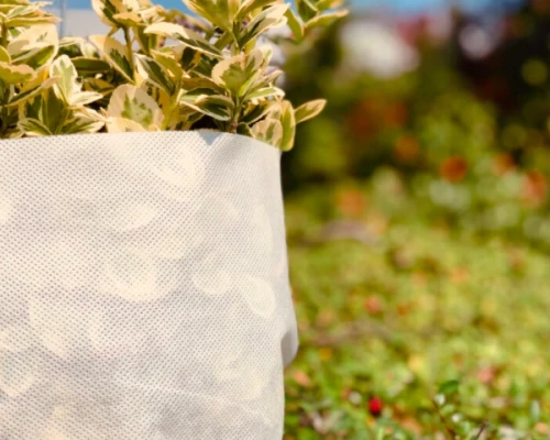 agrowłóknina zimowa biała P-50 prezentacja użycia