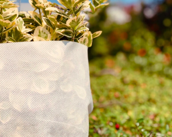 agrowłóknina zimowa biała P-50 prezentacja użycia