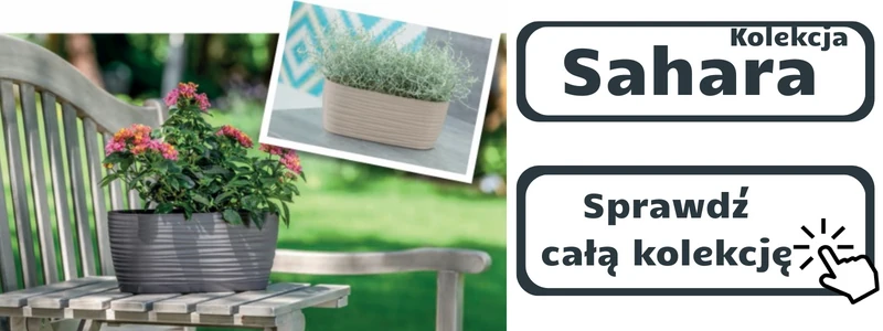 sprawdź kolekcję donic Sahara
