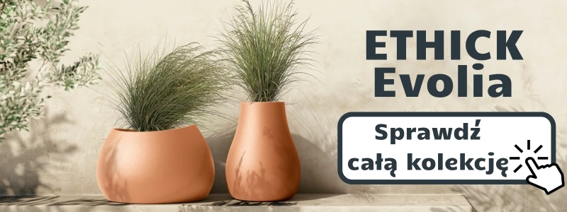 kolekcja-ETHICK-Evolia.webp
