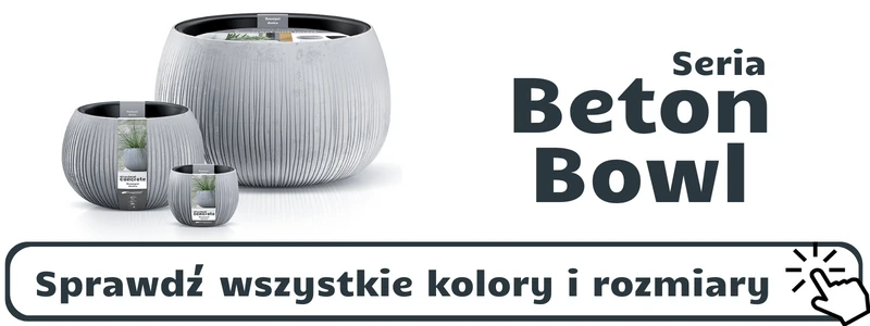 odnosnik-do-doczniek-z-serii-beton-bowl