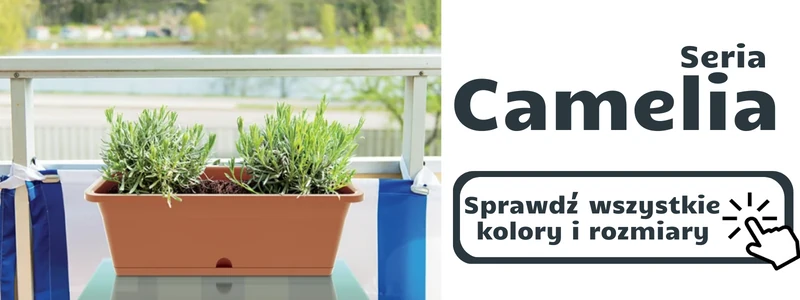 odnosnik do serii doniczek prosperplast camelia