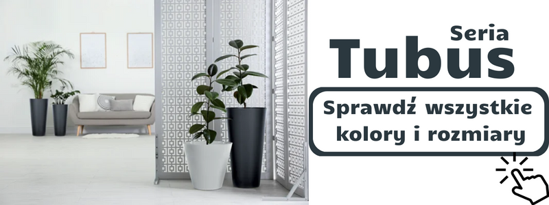 odnosnik do serii doniczek prosperplast tubus