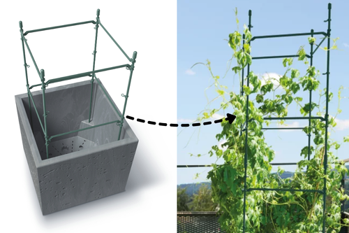 specjalne dodatki, które pozwalają na uprawę bluszczu