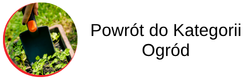 powrót do kategorii głównej wyposażenie ogrodu i tarasu
