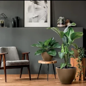 Postaw na doniczki EcoWood
